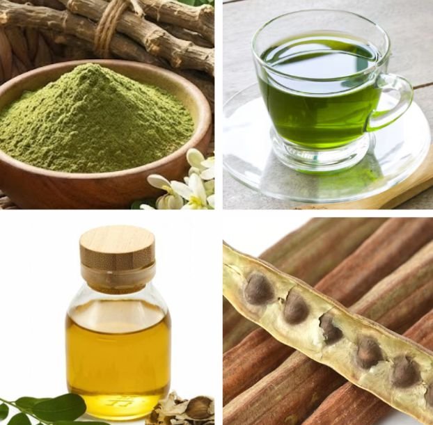 The many Benefits and Uses of Moringa
