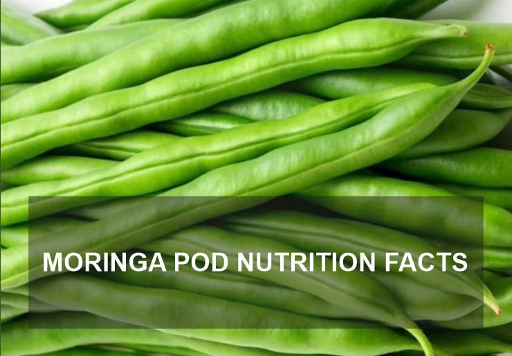 Moringa Pod Nutrition Facts