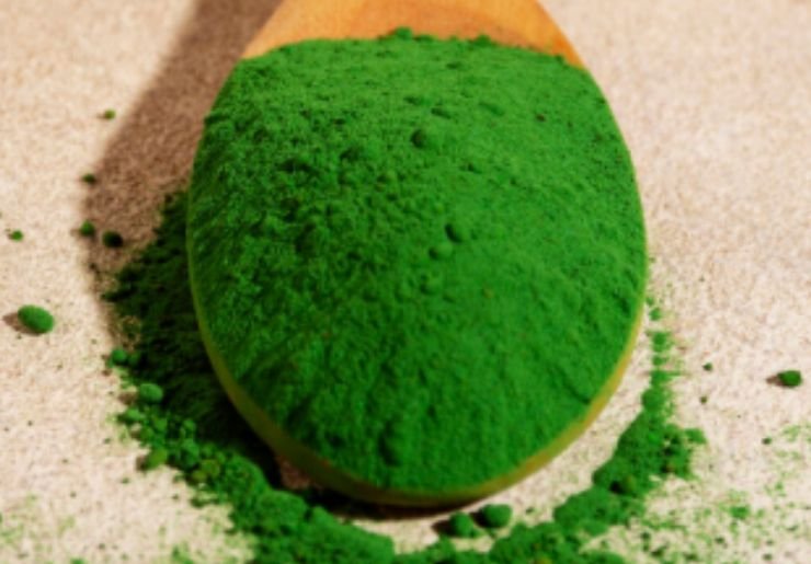 A bowl of moringa powder