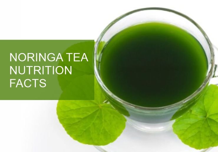 Moringa Tea Nutrition Facts
