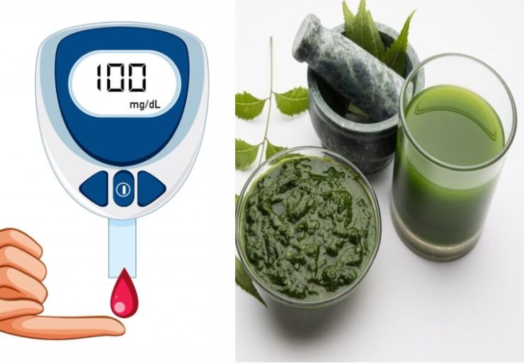 Moringa for Diabetics