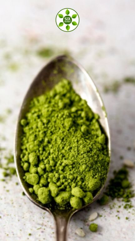 Moringa powder in a spoon