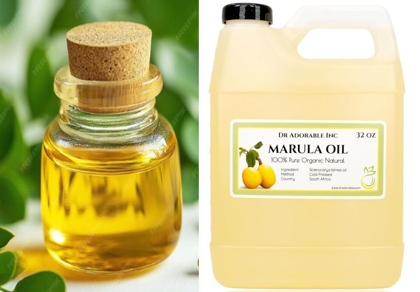 Moringa Oil vs Marula Oil