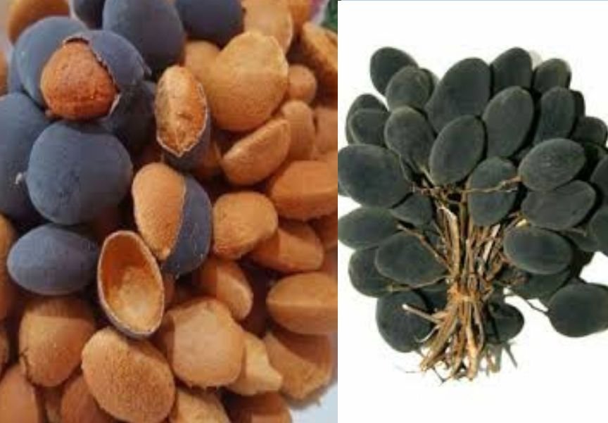 Black velvet tamarind