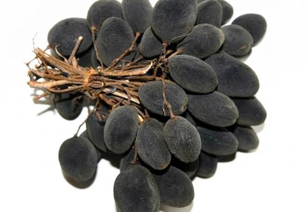A close shot of the black velvet tamarind to show the velvety back