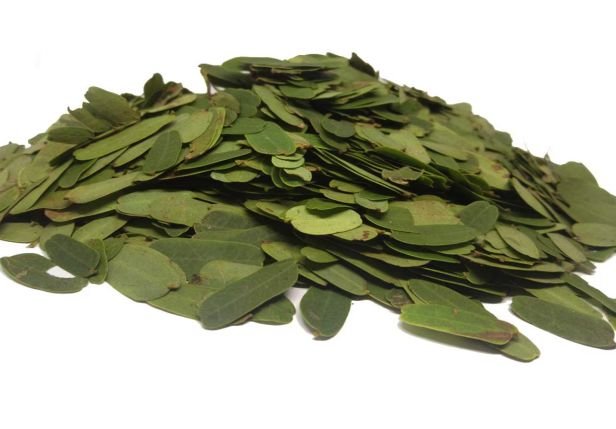 A bunch of dried moringa leaves