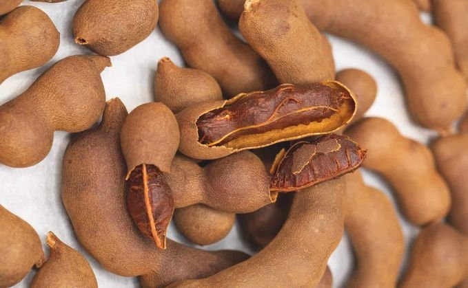 Dry tamarind pods
