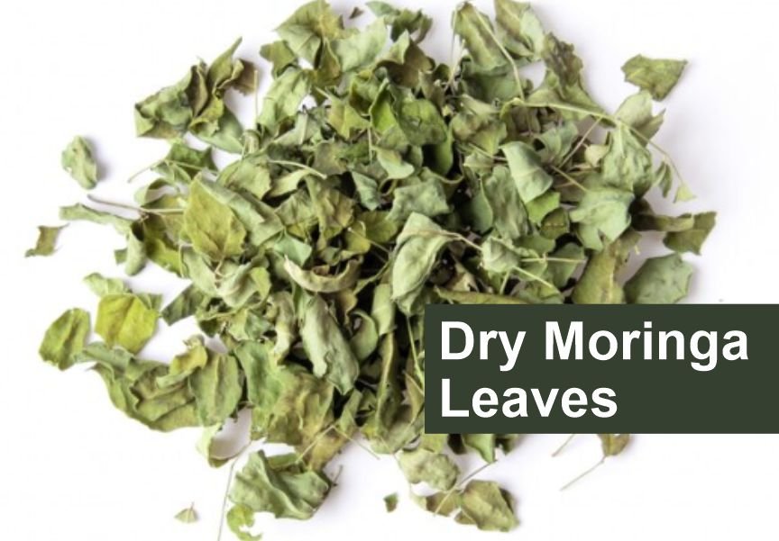 Dried moringa leaves