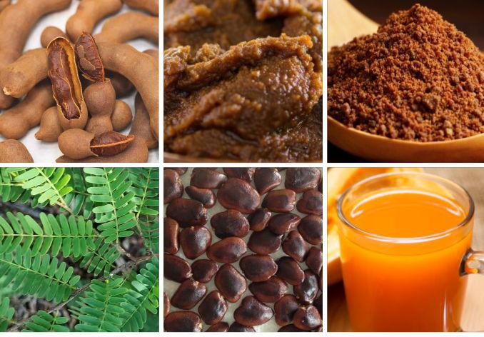 Tamarind Nutrition Facts