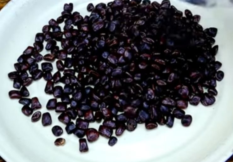 A plate of tamarind seeds