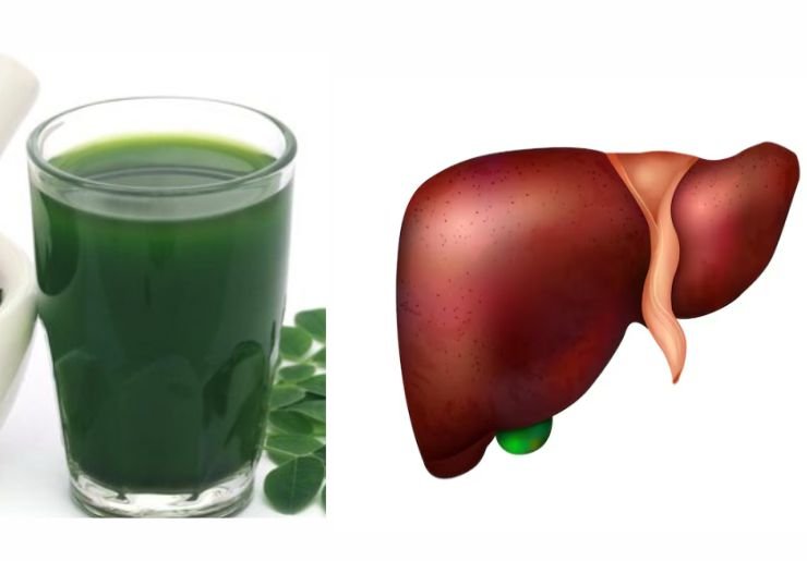 Moringa for Liver Health and Detox