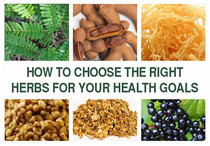 How to Choose the Right Herbs
