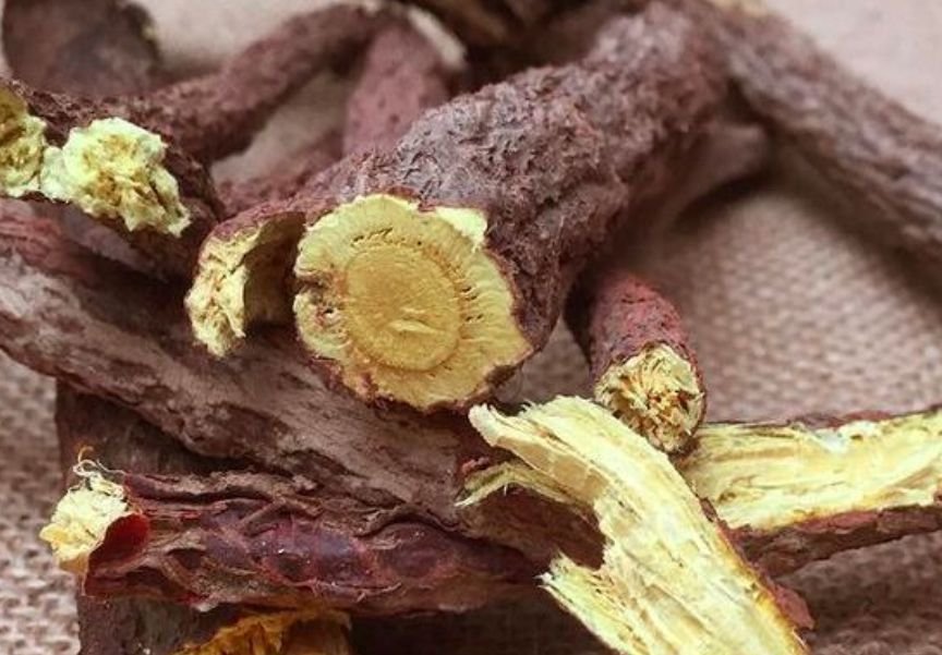 Bunch of tamarind roots