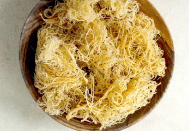 A bowl of dry sea moss