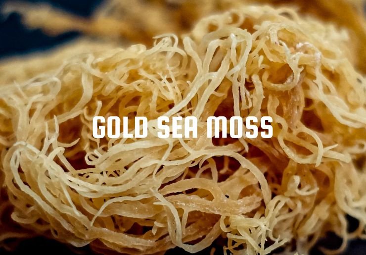 A pack of gold sea moss