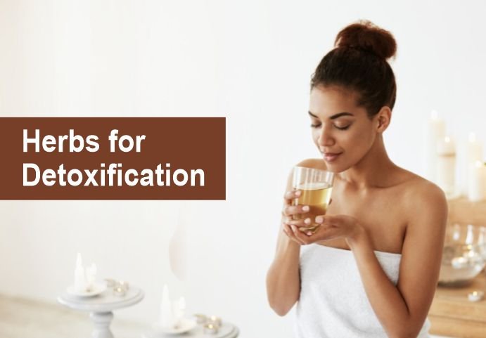 Herbs for Detoxification