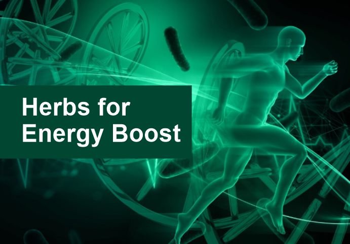 Natural Herbs for Energy Boost