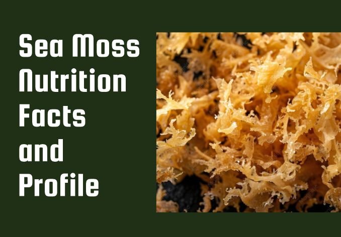 Sea Moss Nutrition facts and profile