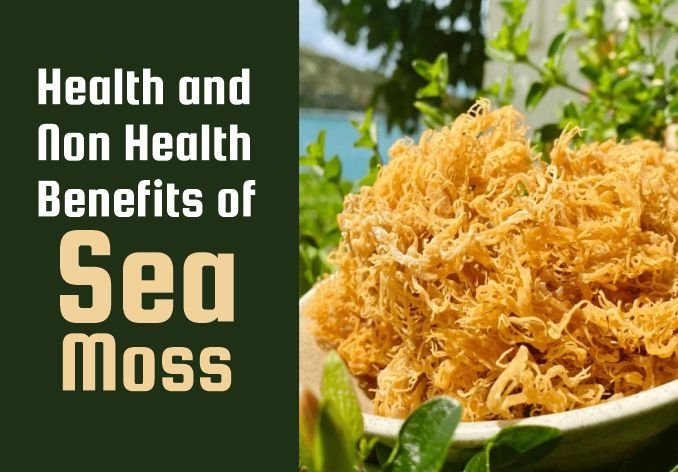Sea Moss Benefits - health and non health