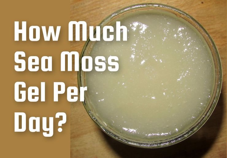 A jar of sea moss gel - demonstrating its dosage per day