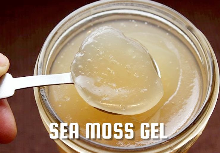 A Jar of Sea Moss Gel