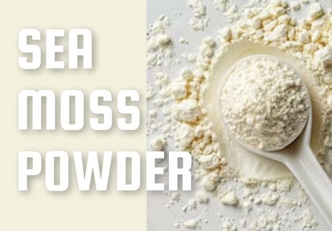 A spoon of Sea Moss Powder