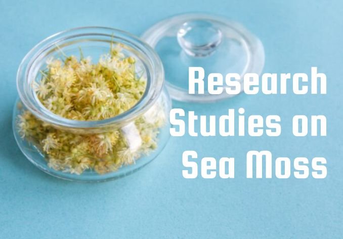 Scientific Studies on Sea Moss