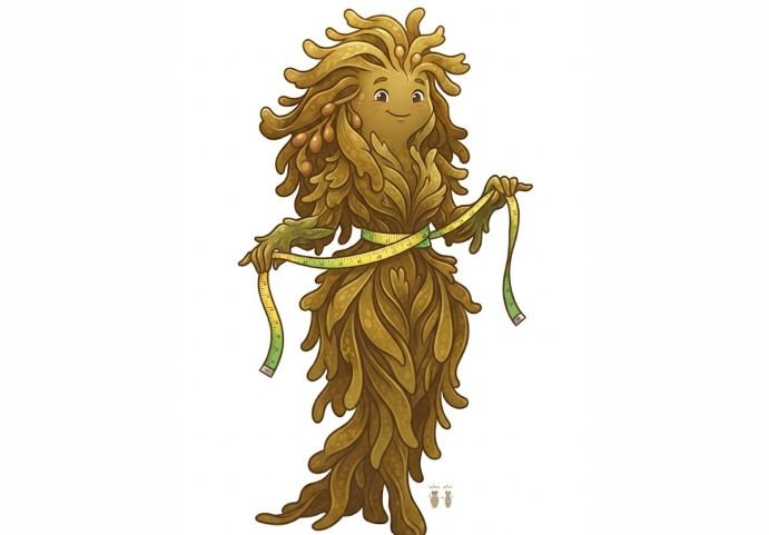 A representation of sea moss figure with a tape around her waist to depict sea moss for weight loss