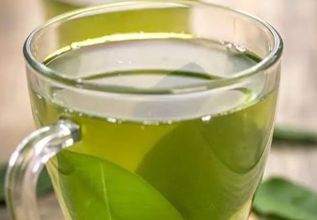 Brewed tamarind fresh leaves tea